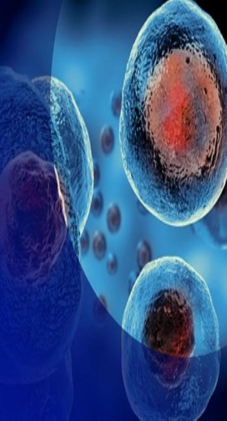 International Master Class on Applying Stem Cell in Personalized Treatment  Dubai, UAE May 17-19, 2024